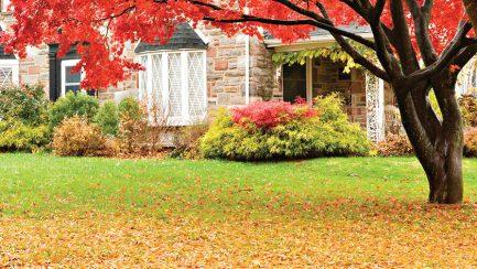 Fall Lawn Maintenance for a Greener Spring