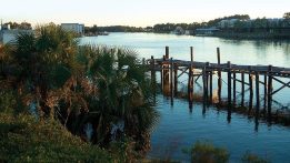 Tallahassee’s Coastal Communities: Growth is in the Air