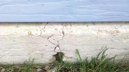 Foundation Repair: Symptoms and Solutions for Your Sanctuary