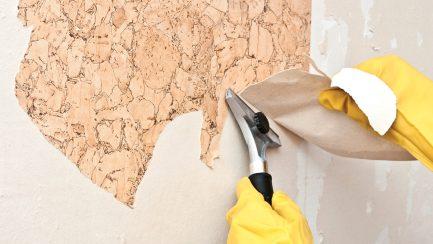 Removing Wallpaper Made Easy