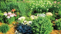 Green Infrastructure Solutions: Attractive, Effective, & Economical