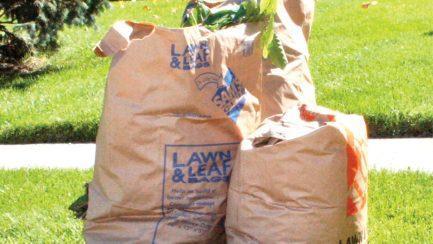 Box It, Bag It or Bundle It Tips for Disposing of Your Yard Debris