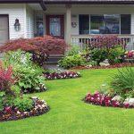 How to Improve Your Landscape