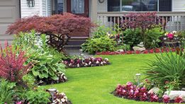 How to Improve Your Landscape