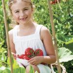 Growing the Perfect Tomato!